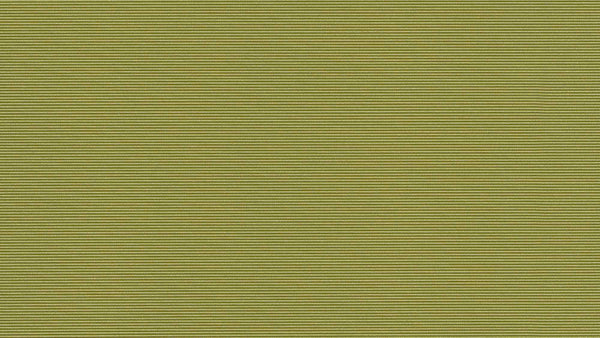 Edgeline Olive EDG-1856