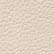 Extreme cream - rgvtex.com