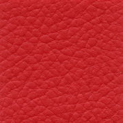 Extreme bright red - rgvtex.com