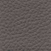 Extreme dk grey - rgvtex.com
