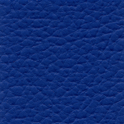 Extreme royal blue - rgvtex.com