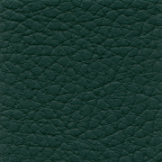 Extreme forest green - rgvtex.com