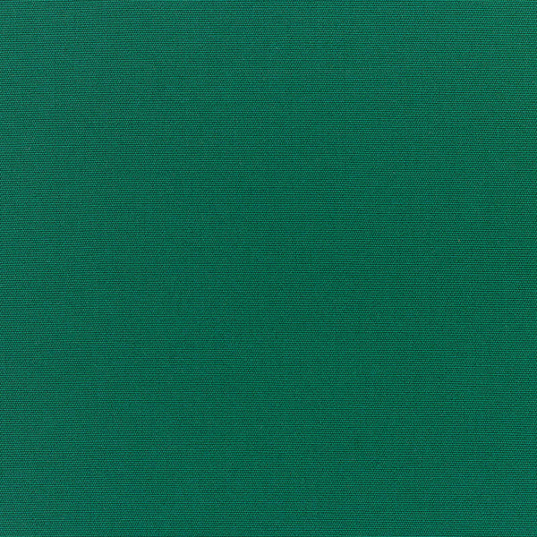 Sunbrella® Elements CANVAS-FOREST-GREEN_5446-0000