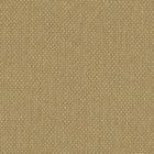Silvertex Neo CHAMPAGNE -  STX-8808