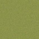 Silvertex Neo CELERY -  STX-8819