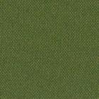 Silvertex Neo BASIL -  STX-8820