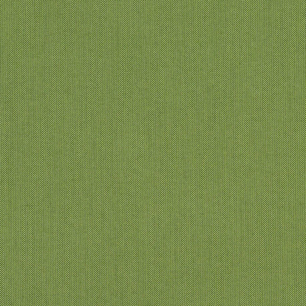 Sunbrella® Elements SPECTRUM-CILANTRO_48022-0000