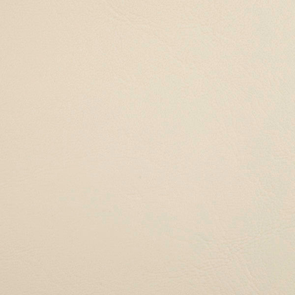 Zander Ivory, Zan-3101