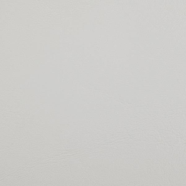 Cielo ártico de Zander, Zan-3110