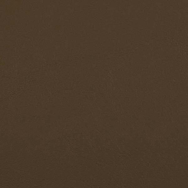 Zander Mocca, Zan-3120