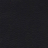 Caprone Fine Furniture Leather- Raven - rgvtex.com
