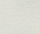 Whisper Neo Plus BONE -  WHI-2117
